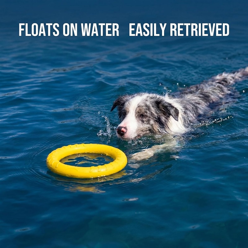 Flying Disc Dog Training Toy - ألعاب الكلاب، أقراص طائرة للحيوانات الأليفة،
