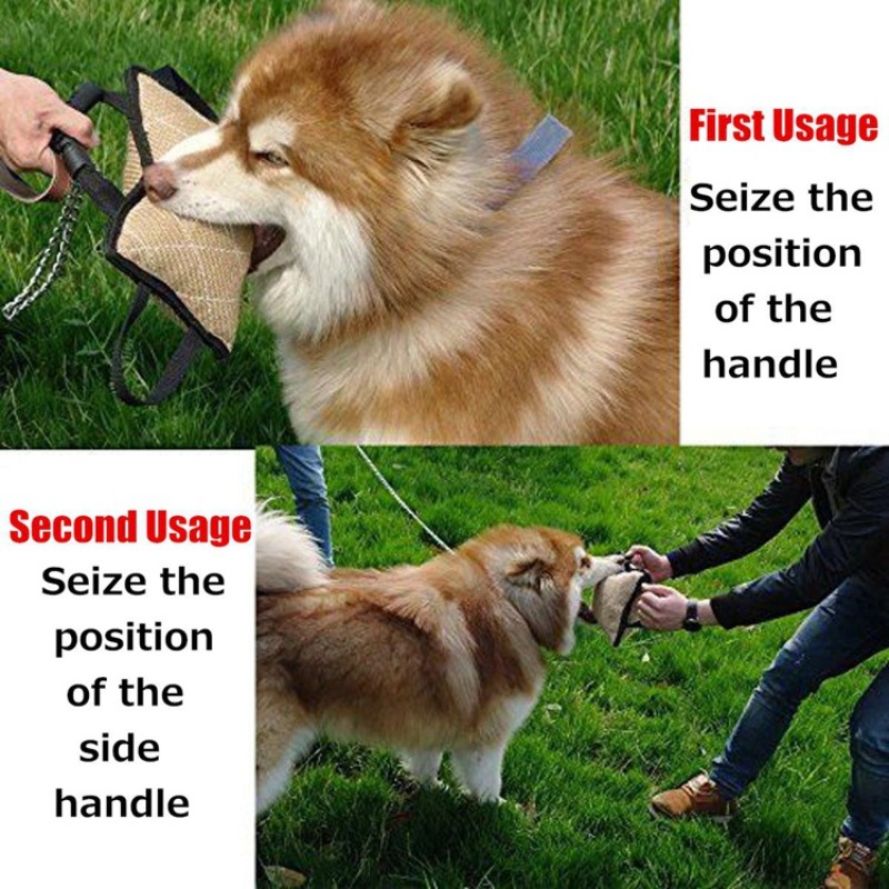 لعبة عض وسحب متينة لتدريب الكل - مراجعة Interactive Squeaky Plush Dog Toy وسعره