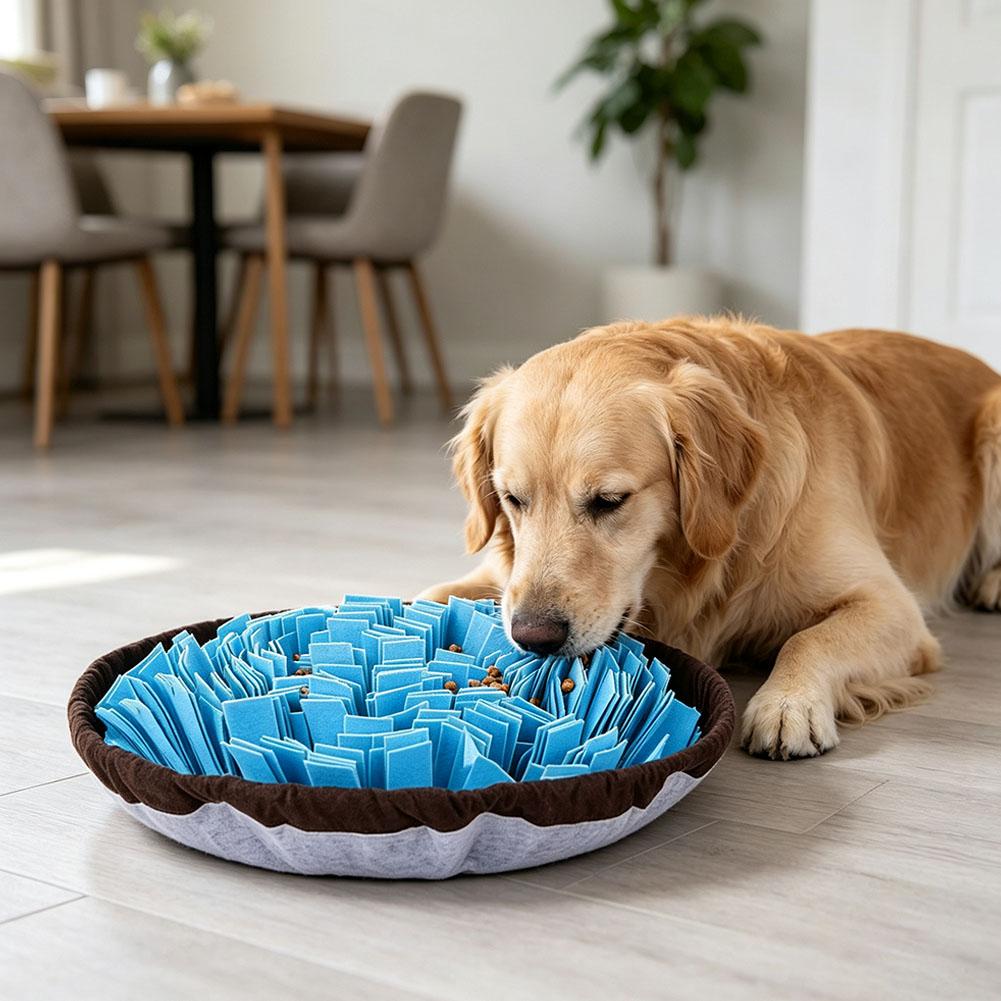 حصيرة تدريب للكلاب، لعبة تفاعل - مراجعة Interactive Squeaky Plush Dog Toy وسعره