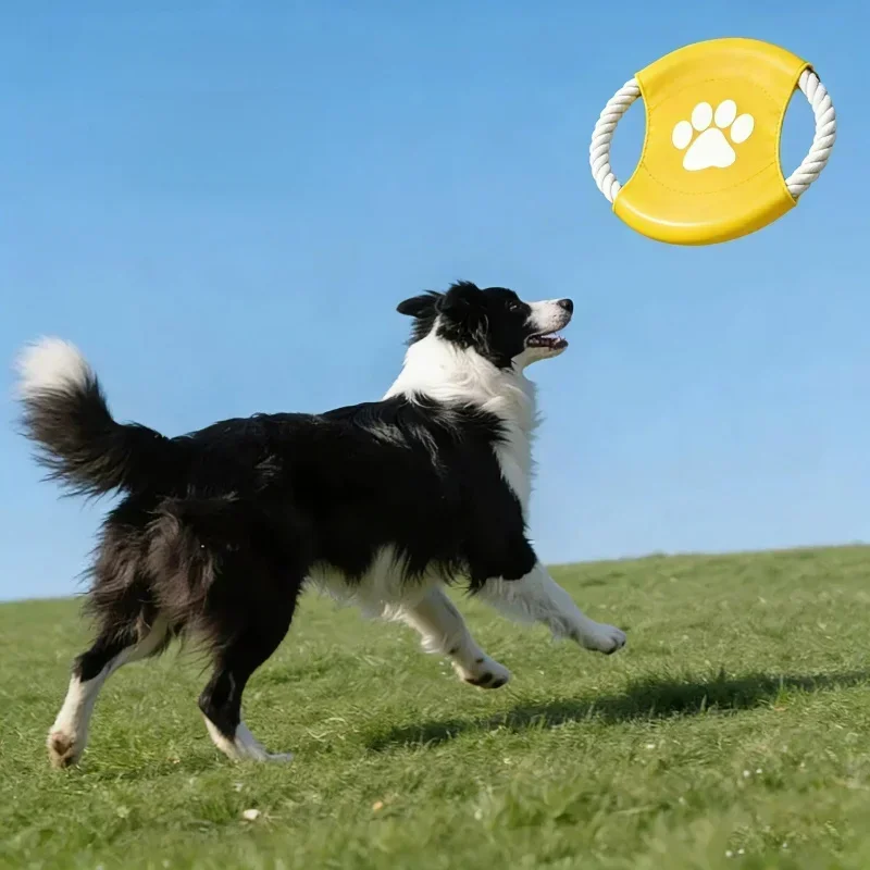 لعبة فريسبي للكلاب من حبل القط - مراجعة Flying Disc Dog Training Toy وسعره