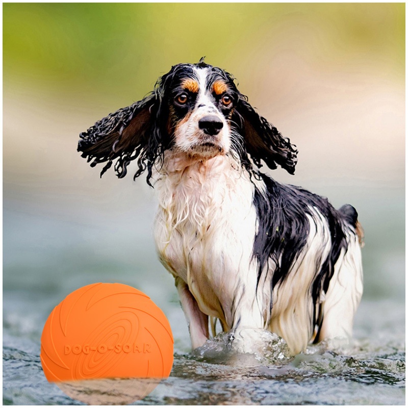 لعبة قرص طائر تفاعلية مصنوعة م - مراجعة Flying Disc Dog Training Toy وسعره