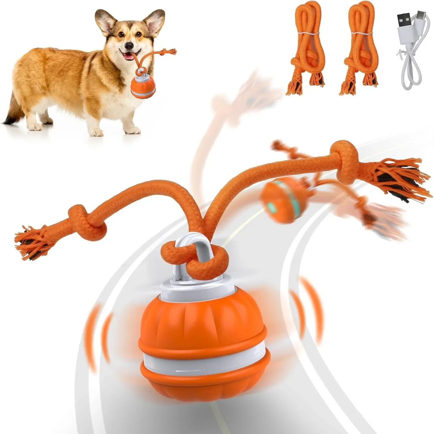 كرة للحيوانات الأليفة، لعبة تف - مراجعة Automatic Moving Dog Ball وسعره