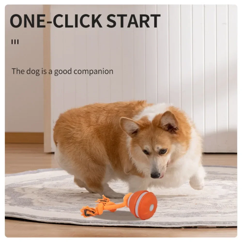 كرة للحيوانات الأليفة، لعبة تف - مراجعة Automatic Moving Dog Ball وسعره