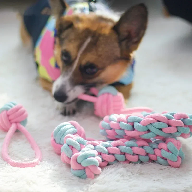 ألعاب الحيوانات الأليفة من JUS - مراجعة Indestructible Dog Chew Toy وسعره