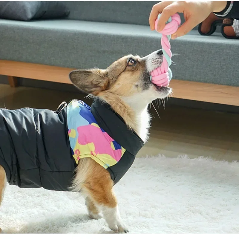 ألعاب الحيوانات الأليفة من JUS - مراجعة Indestructible Dog Chew Toy وسعره