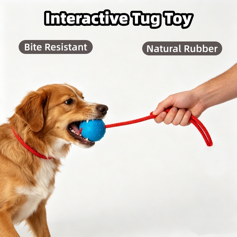 كرة كلب غير قابلة للتدمير مع ح - مراجعة Indestructible Dog Chew Toy وسعره